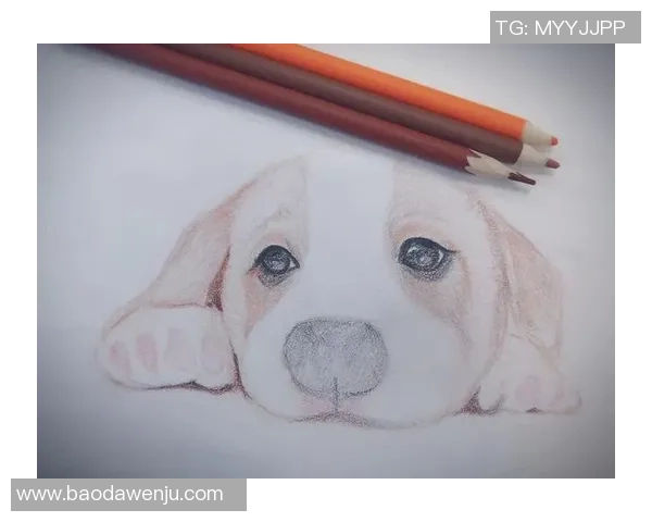 彩铅绘制的足球明星全景展示与人物故事分享 彩铅绘制的足球明星全景展示与人物故事分享